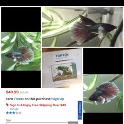 Topfin Fish Tank Aquarium