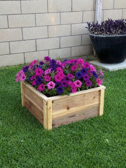 2ft x 2ft planter box