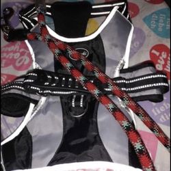 Large Sizes Harness With A Leash 
