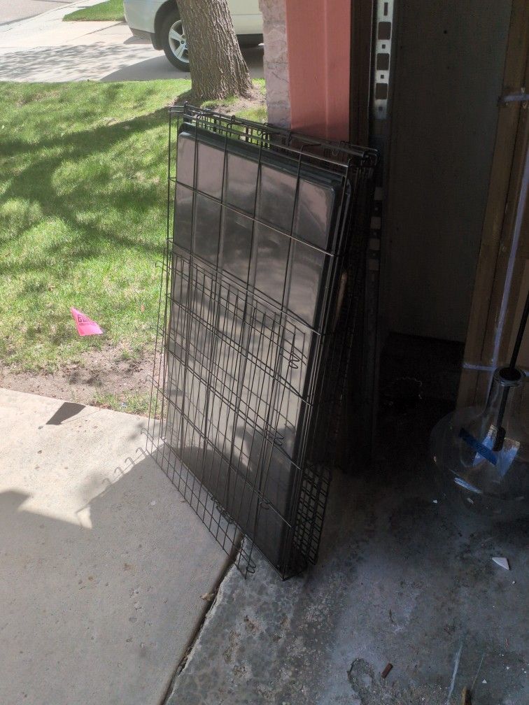Dog Gates 