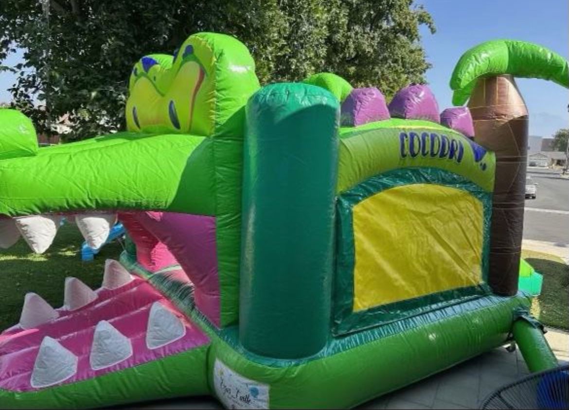 Crocodile Jumper Bounce House This Are Hard To Find One Of A Kind 