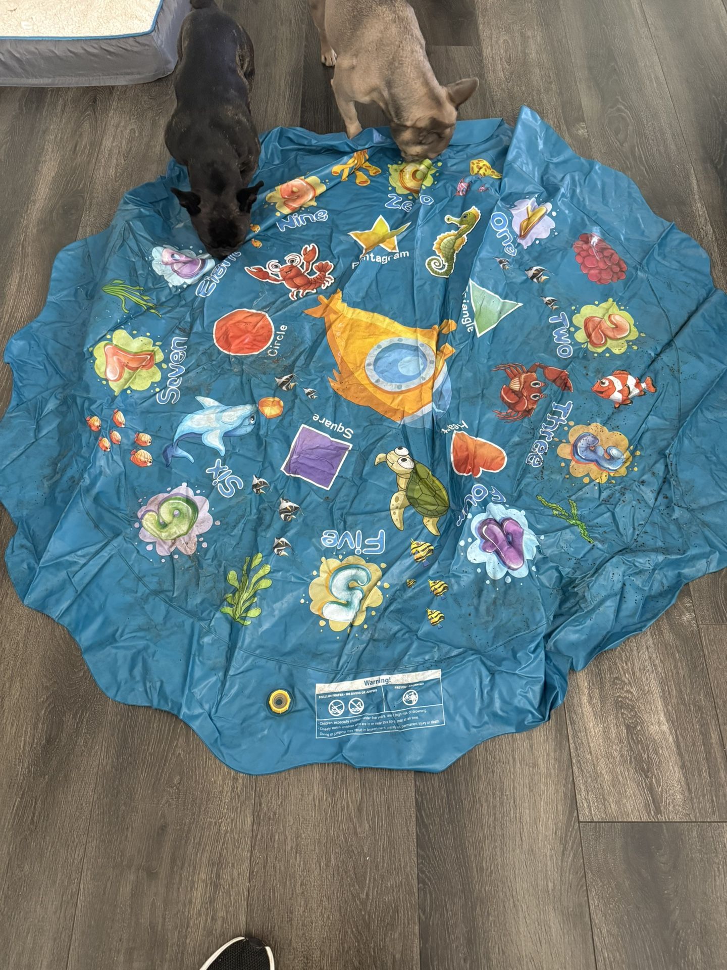Dog Water Pad