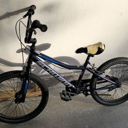20" Bike