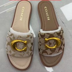 Sandals coach