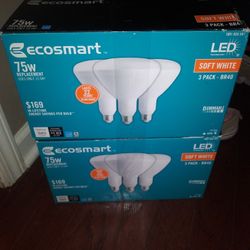 Indoor Floodlight. 