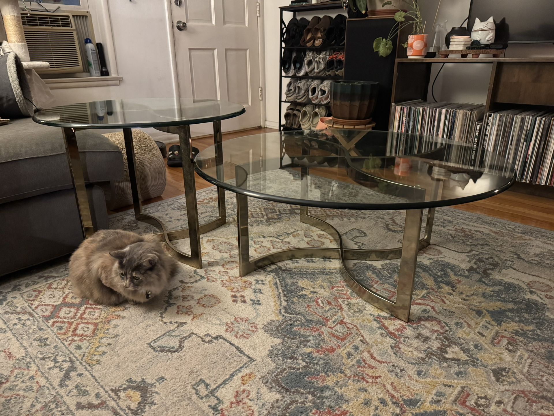 Set Of Coffee Tables (2)
