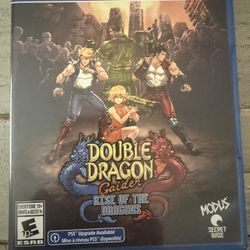 Double Dragon Gaiden Rise Of The Dragons PS4 - NEW