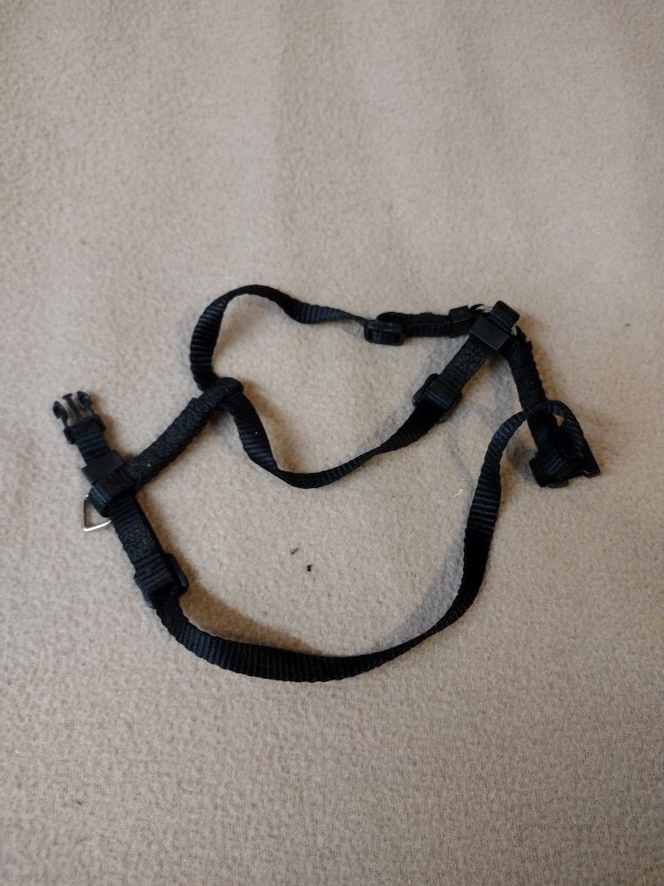Dog Leash Assortment
