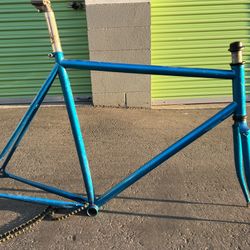 56cm Steel Track Frameset 