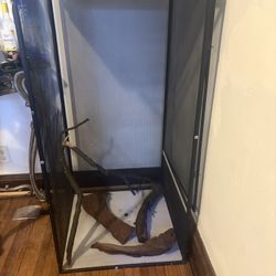 Lizard Enclosure 