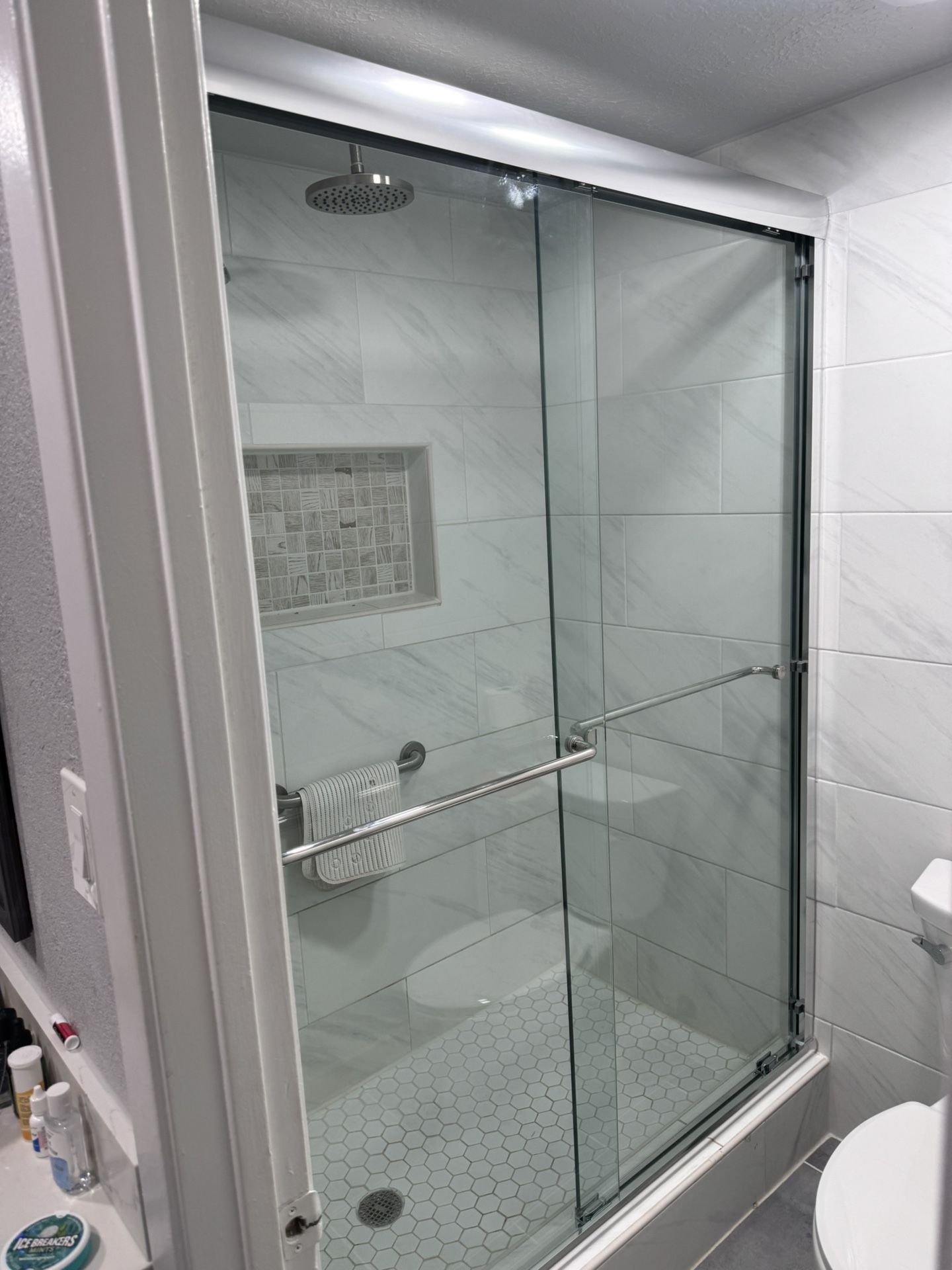 Shower Door