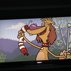 Big Sony 57” Tv.   With Remote Works Great.  (Not A Smart Tv)