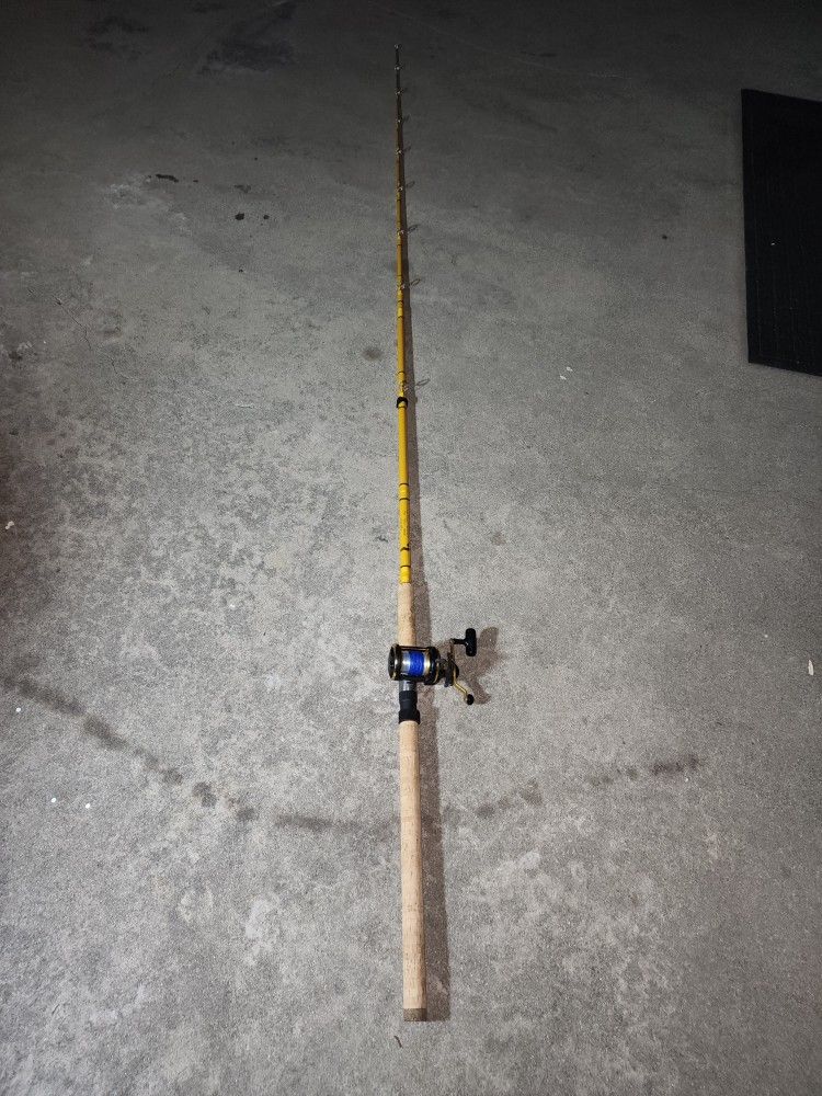 Daiwa SEALINE-X30SHA SALTWATER Fishing Reel With 10' SURF Casting Rod
