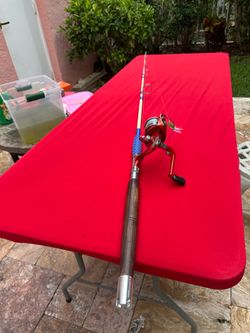 Vintage Spinning Reel and Rod Combo - Classic Wall Decor