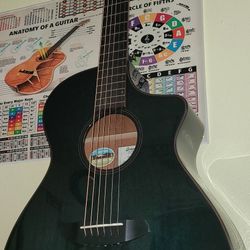 Breedlove Rainforest S Concert PA CE