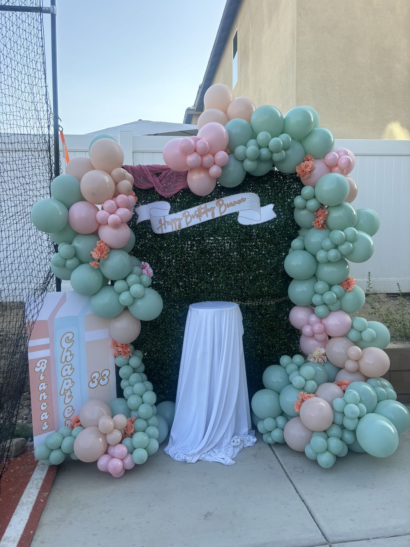 Chapter Theme Back Drop Balloon Garland
