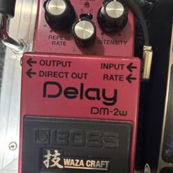 BOSS Waza Craft Delay 