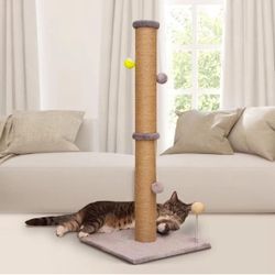 Cat Scratching 36 Inch