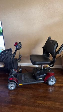 Go go scooter