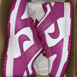 Nike Dunks Big Kids