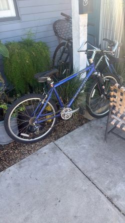 Raleigh Bicycle
