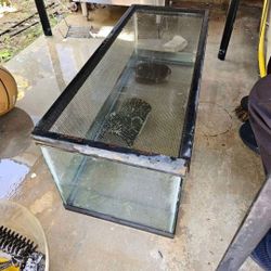 Fish Tank I Am Not Sure If Is 30 Gallon $50 Is Firm Price 