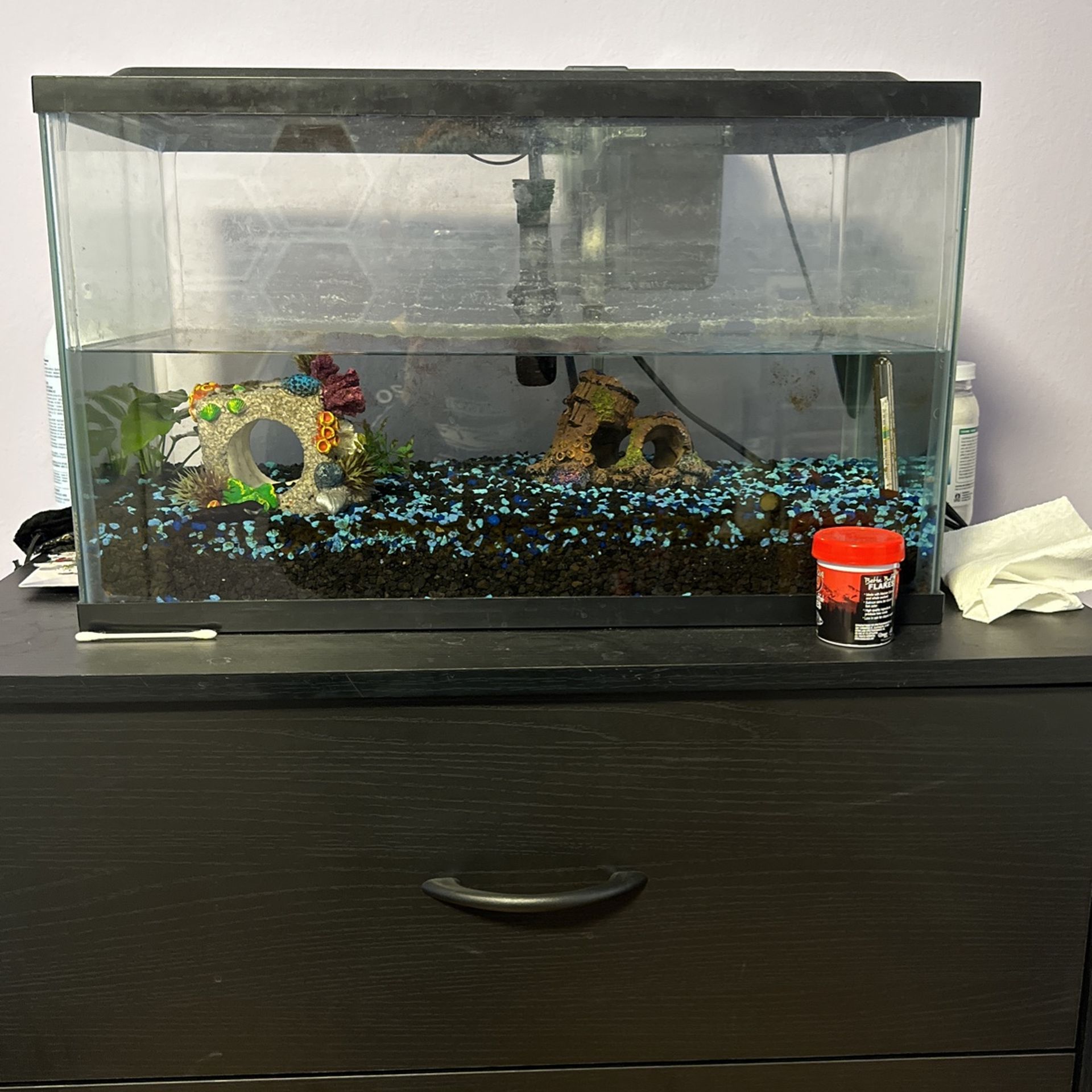 Fish Tank And Accessories 