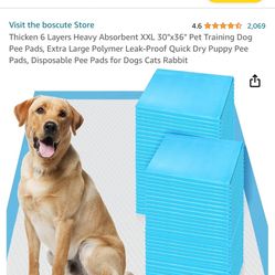 Pet Training Pad 100pcs, 