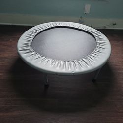 Work Out Trampoline