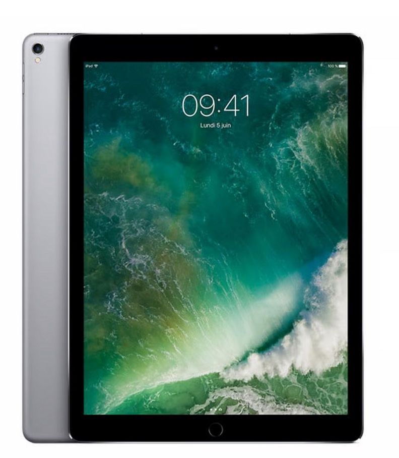 Grey iPad 12.9 In H