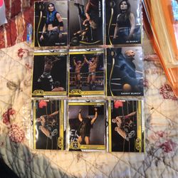 Nice ! 2019 WWE Topps NXT Card Lot #3Of 18 Cards With Rookie First Cards All For $4 Additional Discounts Apply 