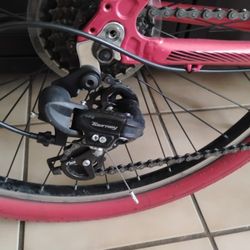 Schwinn 21 Speed Bike 