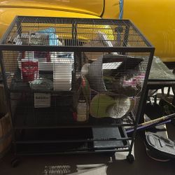 Ferret Supplies 