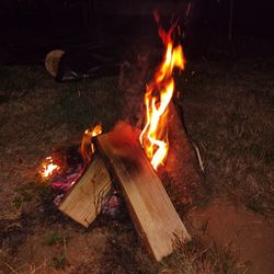 Firewood Cherry,Alder, Maple, & Fir