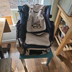 Softball Bat Bags