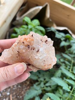 Arkansas Quartz Clustee