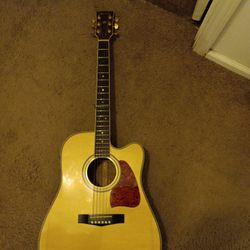 Ibanez Acoustic Electric AW300