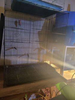 Bird cage
