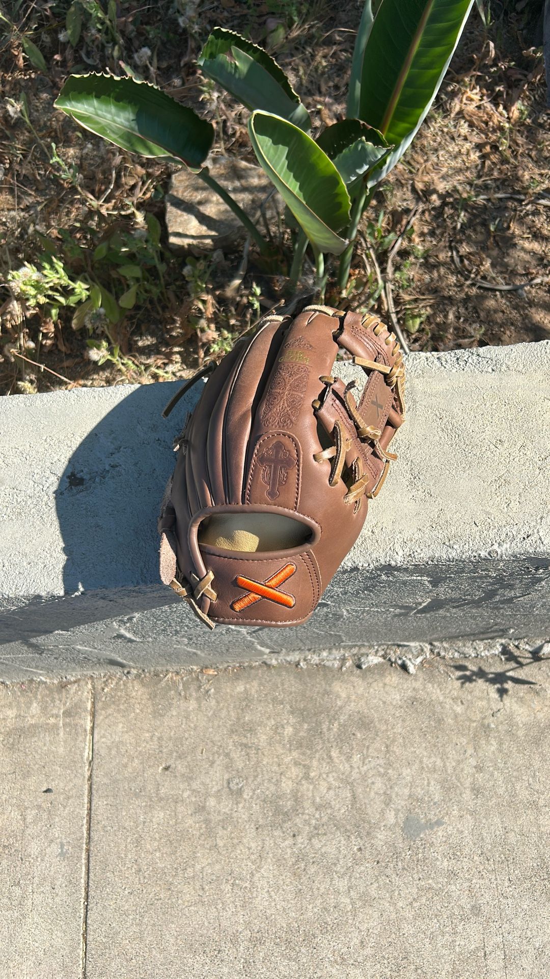 Absolutely Ridiculous Bible Glove 11.5 Inch