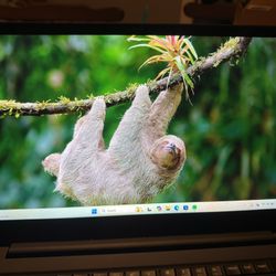 Lenovo ThinkPad X1 Carbon 