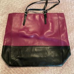 Audrey Brooke Magenta/black Tote Bag