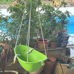 Baby Swing