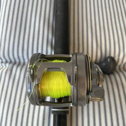 Shimano Tyrnos 20 with custom rod.
