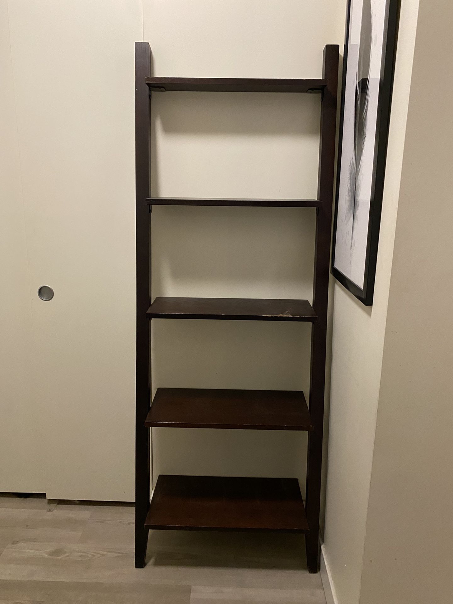 Ladder Shelf