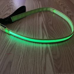 Light Up Dog Leash 