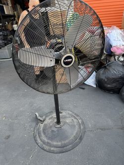 Fans