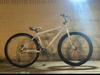 Thorne 29er