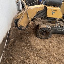 Jay’s Tree Lic #1069339