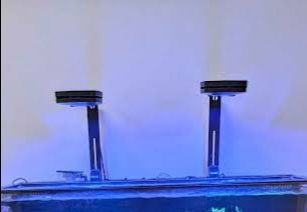 Ai Prime 16 saltwater Light