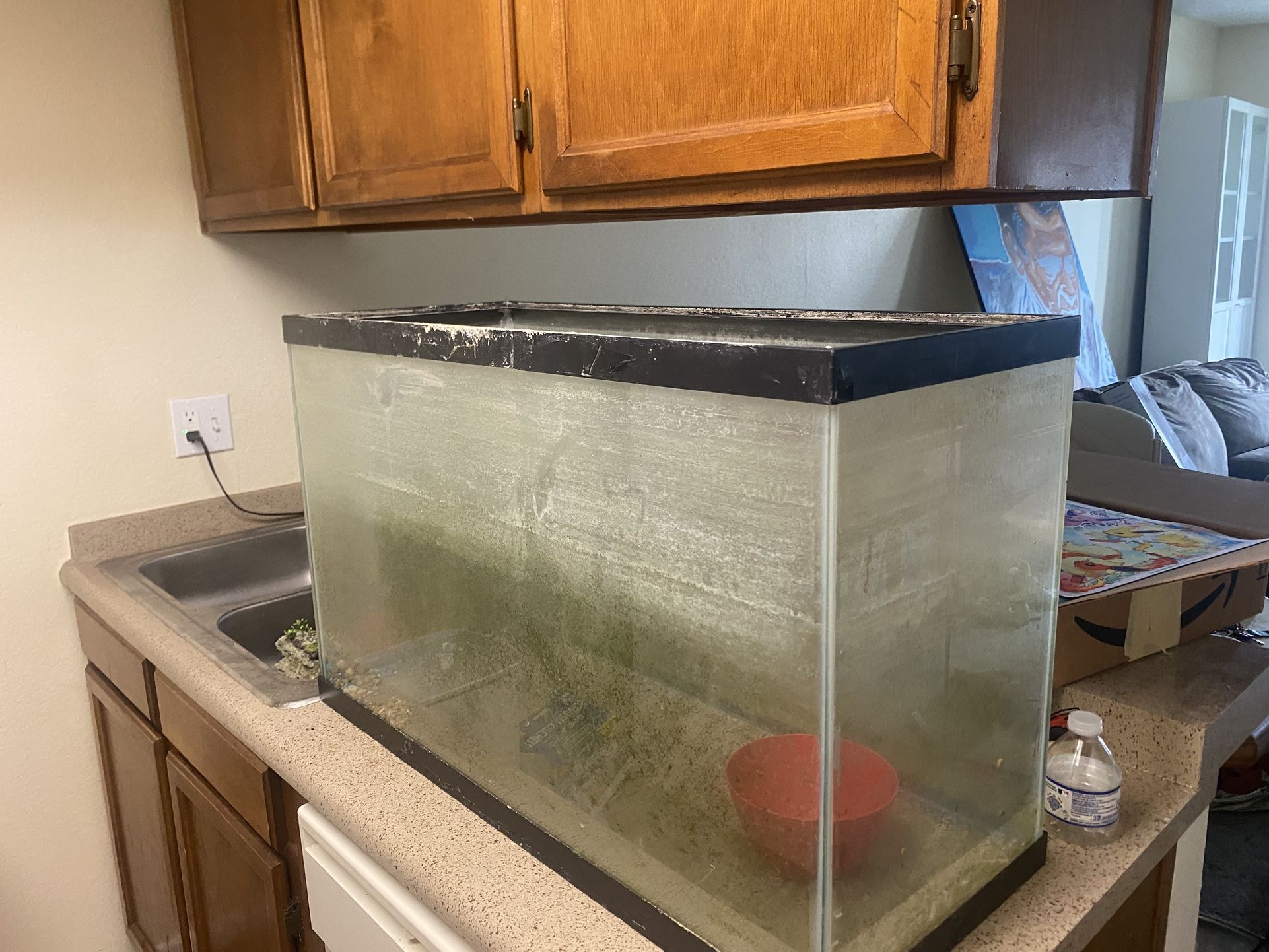 29 Gallon Fish Tank